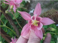 a0bf9ed0-Picture 009.jpg